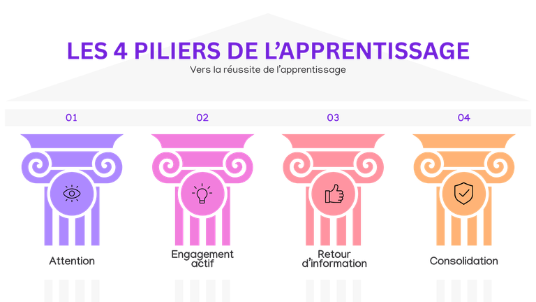 Les quatre piliers de l'apprentissage : attention, engagement actif, retour d'information et consolidation